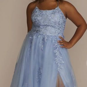 Jules and Cleo Plus Size Embroidered Lace Tulle A-Line Dress